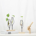 Creative hydroponic plants Plant vase display stand